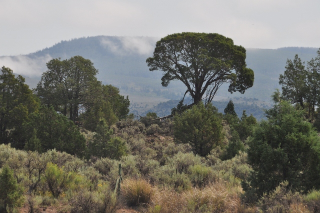 The terrain on State Route 131